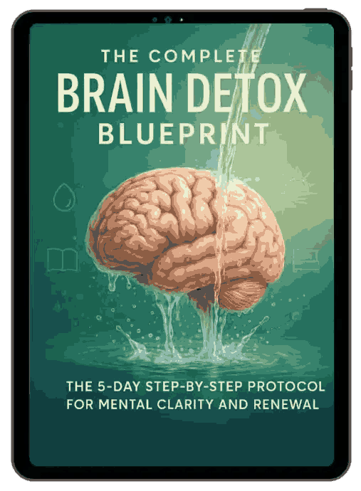 Bonus 1  The Complete Brain Detox Blueprint